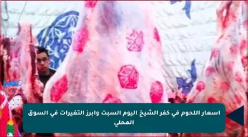 أسعار اللحوم في كفر الشيخ اليوم السبت وأبرز التغيرات في السوق المحلي